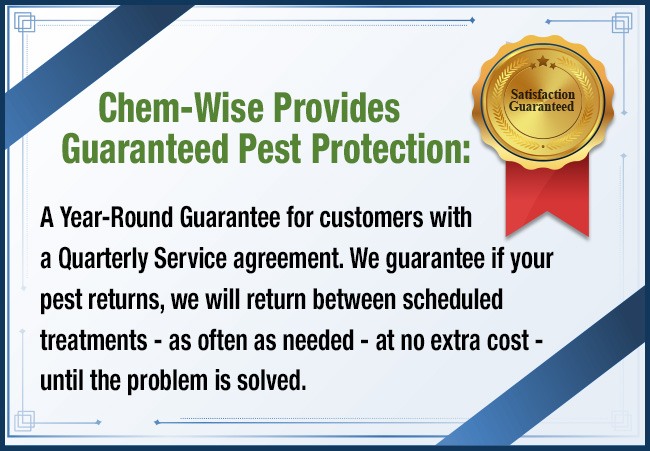Chem-Wise Provides Guaranteed Pest Protection: A Year-Round Guarantee for customers with a Quarterly Service agreement. We guarantee if your pest returns, we will return between scheduled treatments - as often as needed - at no extra cost - until the problem is solved.