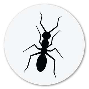 Ant Icon