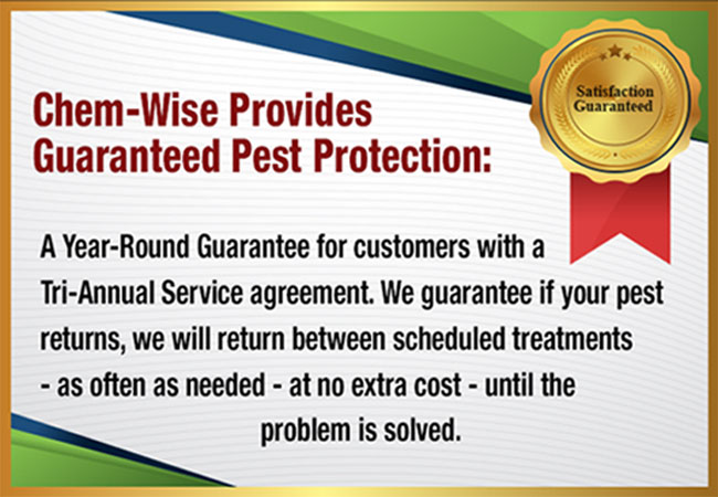 Chem-Wise Provides Guaranteed Pest Protection: A Year-Round Guarantee for customers with a Tri-Annual Service agreement. We guarantee if your pest returns, we will return between scheduled treatments - as often as needed - at no extra cost - until the problem is solved.