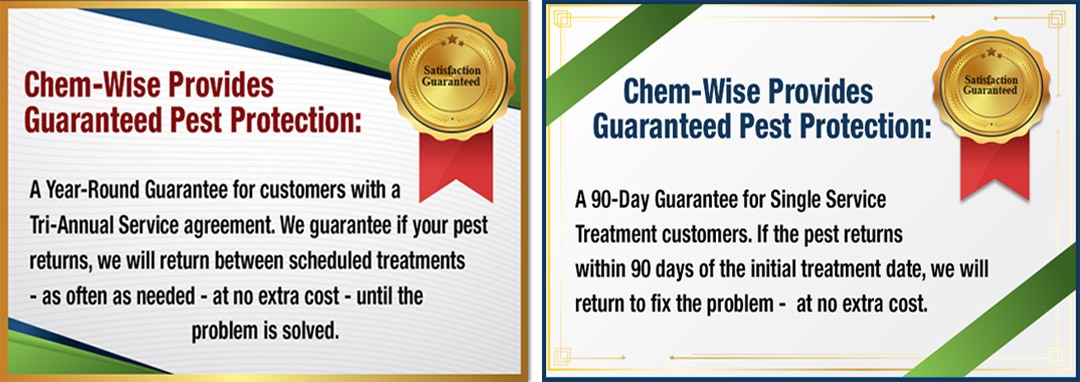 Chem-Wise Provides Guaranteed Pest Protection: A Year-Round Guarantee for customers with a Tri-Annual Service agreement. We guarantee if your pest returns, we will return between scheduled treatments - as often as needed - at no extra cost - until the problem is solved. Chem-Wise Provides Guaranteed Pest Protection: A 90-Day Guarantee for Single Service Treatment customers. If the pest returns within 90 days of the initial treatment date, we will return to fix the problem - at no extra cost.
