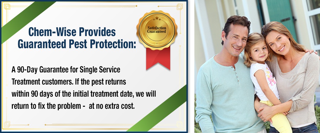 Chem-Wise Provides Guaranteed Pest Protection: A 90-Day Guarantee for Single Service Treatment customers. If the pest returns within 90 days of the initial treatment date, we will return to fix the problem - at no extra cost.