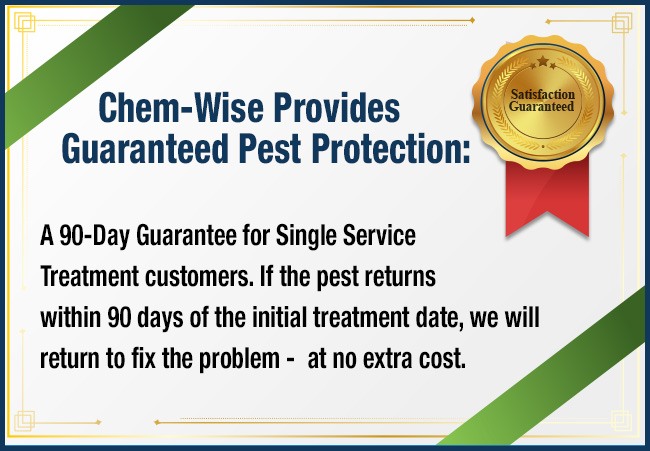 Chem-Wise Provides Guaranteed Pest Protection: A 90-Day Guarantee for Single Service Treatment customers. If the pest returns within 90 days of the initial treatment date, we will return to fix the problem - at no extra cost.