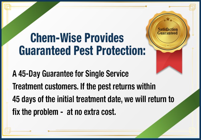 Chem-Wise Provides Guaranteed Pest Protection: A 45-Day Guarantee for Single Service Treatment customers. If the pest returns within 45 days of the initial treatment date, we will return to fix the problem - at no extra cost.