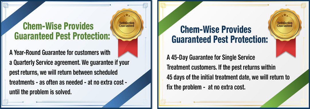 Chem-Wise Provides Guaranteed Pest Protection: A Year-Round Guarantee for customers with a Quarterly Service agreement. We guarantee if your pest returns, we will return between scheduled treatments - as often as needed - at no extra cost - until the problem is solved. Chem-Wise Provides Guaranteed Pest Protection: A 45-Day Guarantee for Single Service Treatment customers. If the pest returns within 45 days of the initial treatment date, we will return to fix the problem - at no extra cost.
