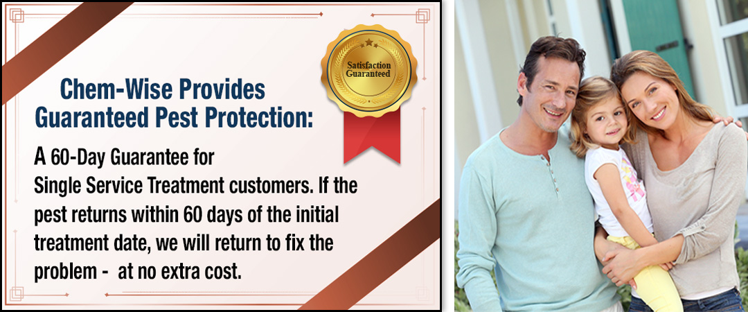 Chem-Wise Provides Guaranteed Pest Protection: A 60-Day Guarantee for Single Service Treatment customers. If the pest returns within 60 days of the initial treatment date, we will return to fix the problem - at no extra cost.