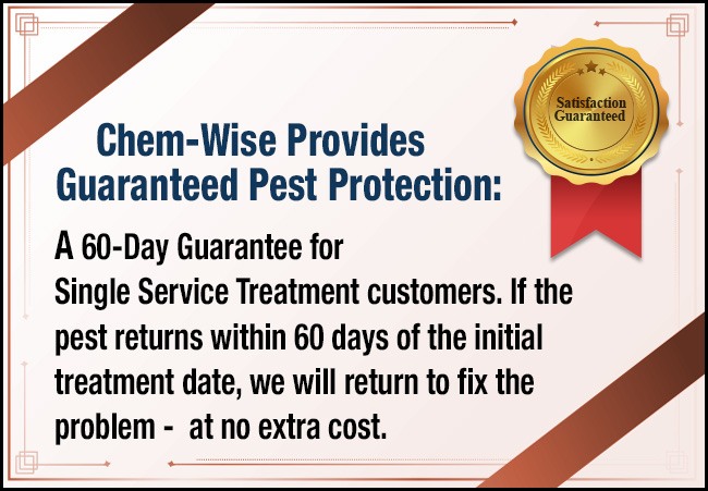 Chem-Wise Provides Guaranteed Pest Protection: A 60-Day Guarantee for Single Service Treatment customers. If the pest returns within 60 days of the initial treatment date, we will return to fix the problem - at no extra cost.