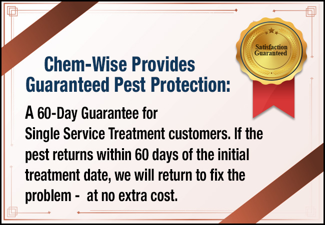 Chem-Wise Provides Guaranteed Pest Protection: A 60-Day Guarantee for Single Service Treatment customers. If the pest returns within 60 days of the initial treatment date, we will return to fix the problem - at no extra cost.