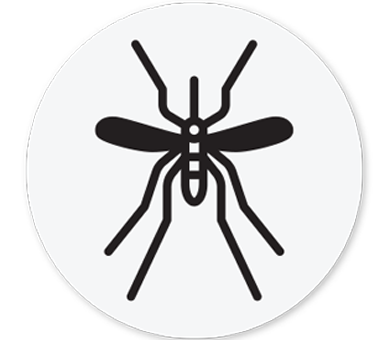 Mosquito Icon