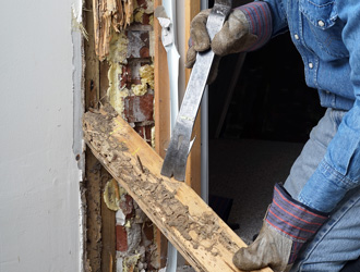 Wood damaged by termites